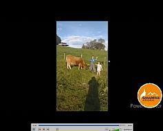 webinar_004.jpg